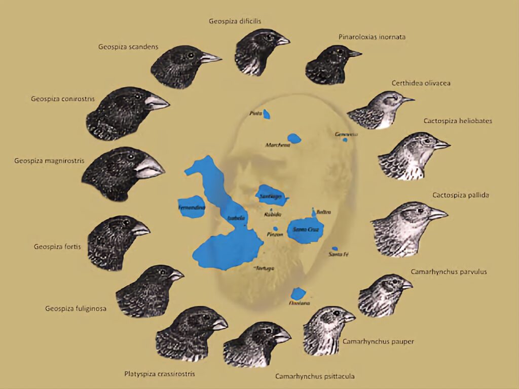 Islas Galápagos, un santuario de biodiversidad